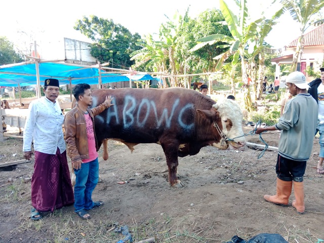 Prabowo Salurkan Puluhan Hewan Qurban ke Ponpes-ponpes dan Ormas Keagamaan di Jawa Barat