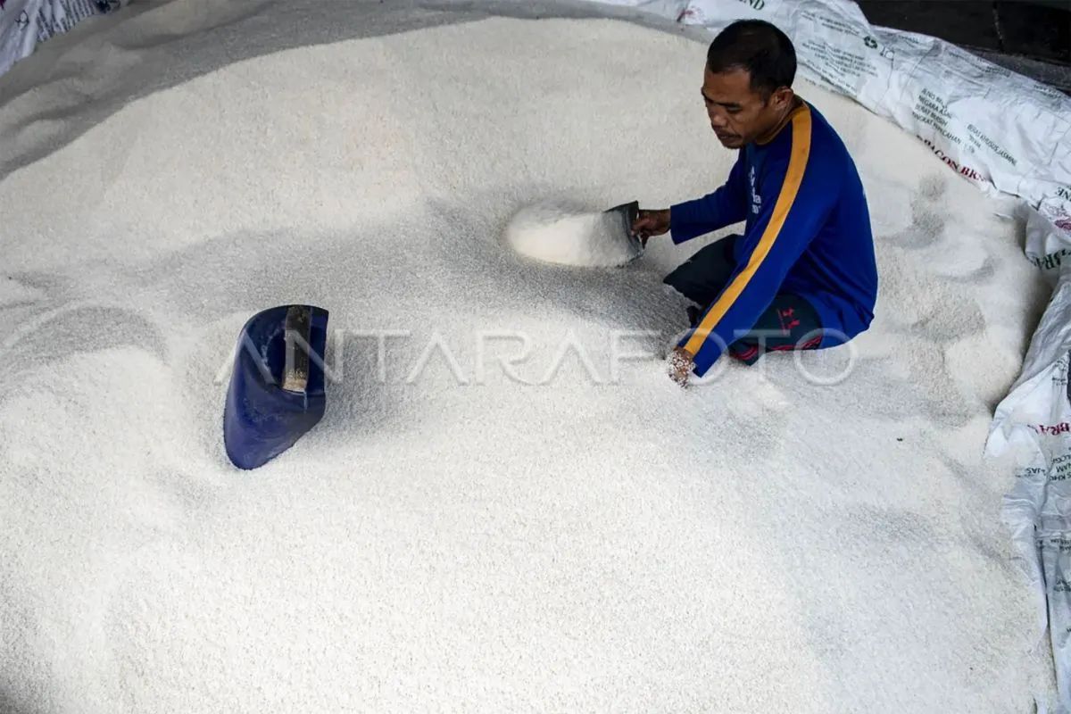Di Jakarta, harga beras turun Rp 2 ribu per kilogram