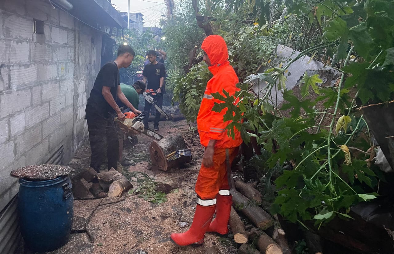 Aiptu Roby Danan Respon Kejadian Pohon Kupa Gowok Tumbang di Pemukiman Warga