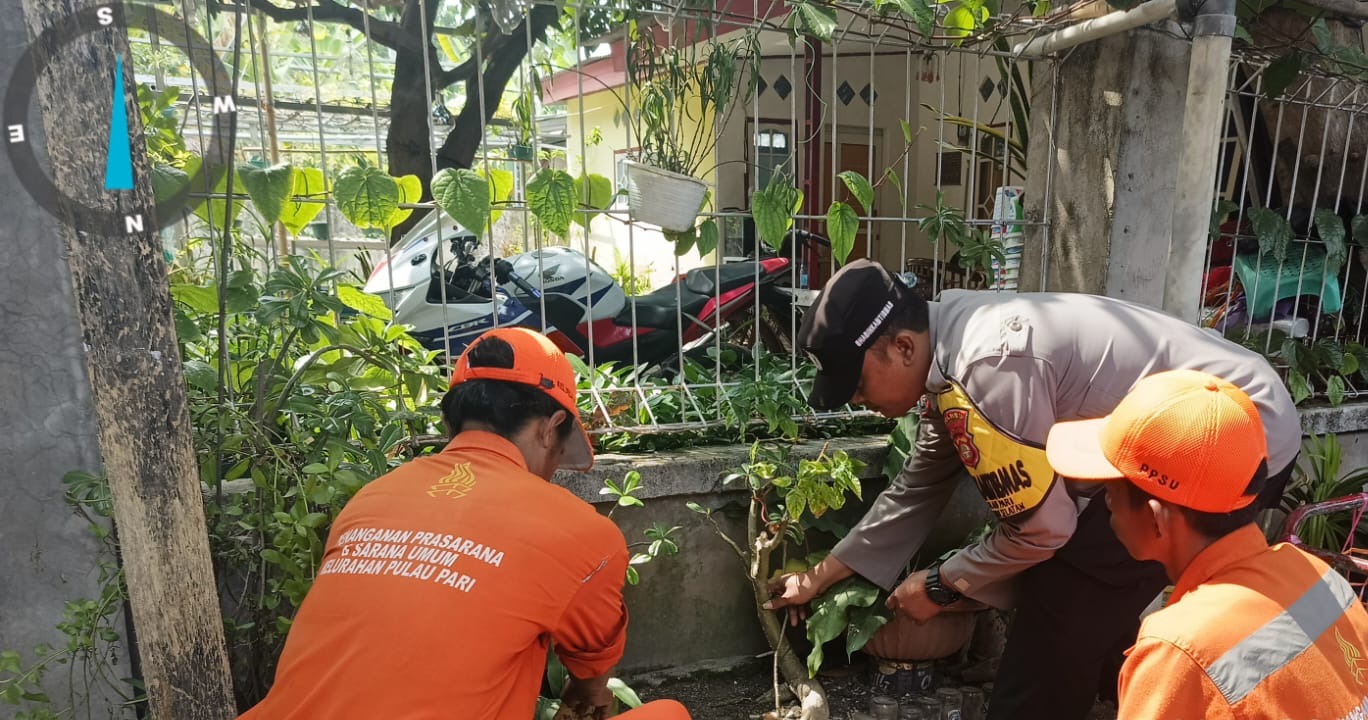 Polsek Kepulauan Seribu Selatan Gencar Memimpin Gerakan Penanaman Pohon Bersama Warga untuk Reduksi Polusi Udara