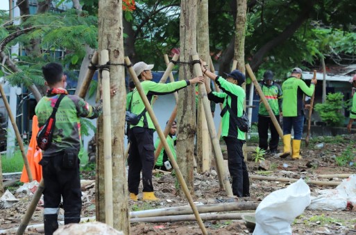 Puluhan Pohon Pelindung Ditanam di Sisi Tol Jalan Pluit Karang Karya 6