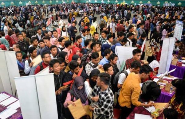 Lulusan Perguruan Tinggi Makin Banyak Bekerja di Bawah Kualifikasi Pendidikan