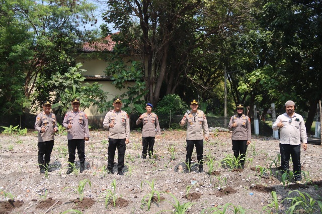 Kapolres Kepulauan Seribu Tanam Jagung di Lahan Produktif, Dukung Ketahanan Pangan Nasional