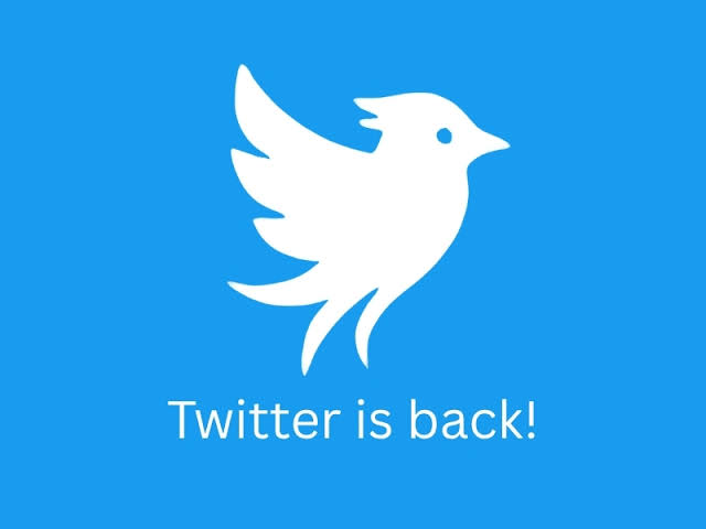 Twitter Muncul Kembali dengan Platform Baru, Pemiliknya Mantan Karyawan X