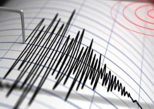 DPRD Mendorong Pemprov DKI Manfaatkan Teknologi Perkuat Peringatan Dini Gempa