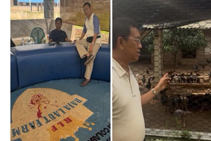 Raja Laut Farm Milik Anggota DPRD DKI Jakarta H. M Idris : Peternakan Ayam Bangkok Berkualitas, Bukan Tempat Judi Sabung Ayam