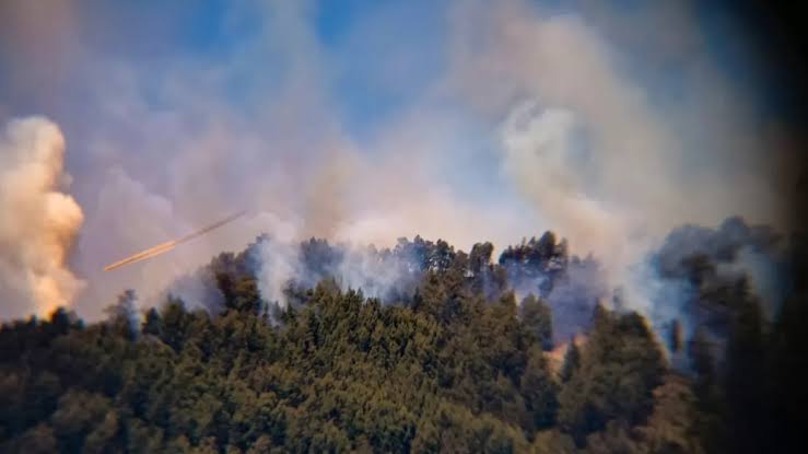 Empat Kawasan Gunung di Jawa Timur Terbakar, Pemadaman Terkendala Medan Sulit