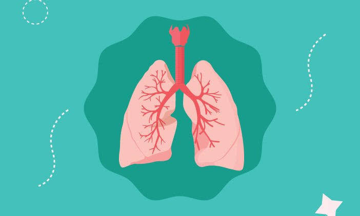 Cara Alami Membersihkan Paru-paru kotor, Perlu Dicoba